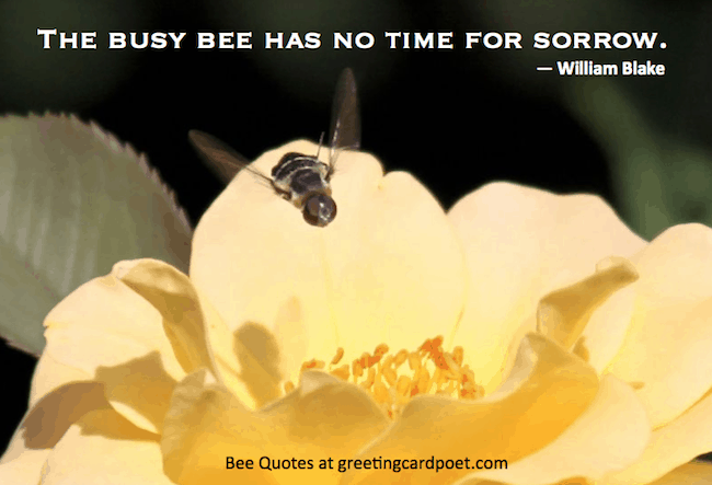 Bee-quotes