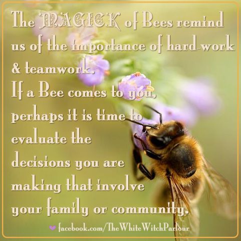 f02b6fa561c0e105a8d9e7e1230bdfea--bee-quotes-spiritual-meaning