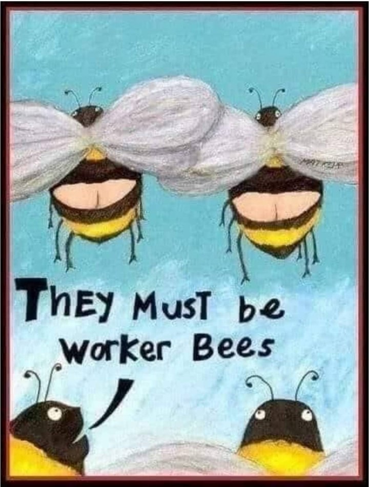 Must Bee WOrker Bees